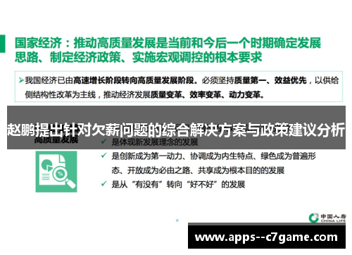 赵鹏提出针对欠薪问题的综合解决方案与政策建议分析