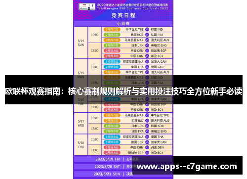 欧联杯观赛指南：核心赛制规则解析与实用投注技巧全方位新手必读
